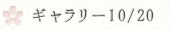 ギャラリー10/20